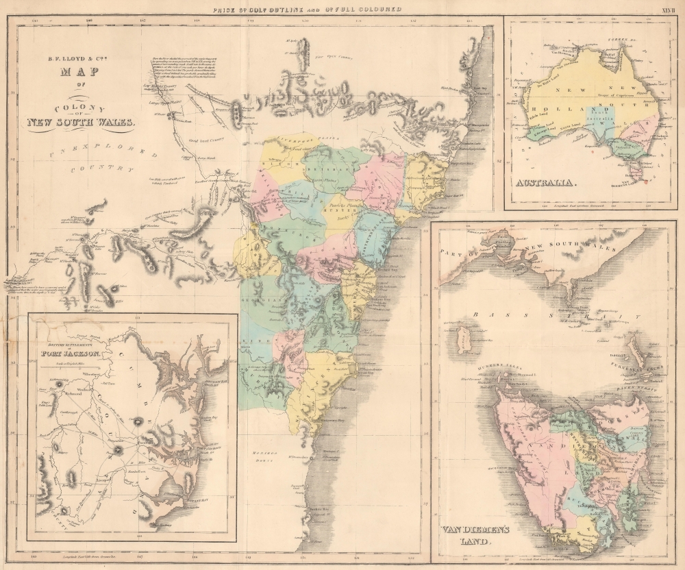 B.F. Lloyd [and] Co.'s Map of Colony of New South Wales. - Main View