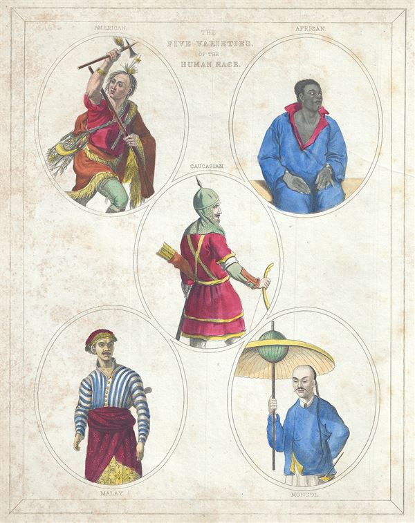 five races of humans