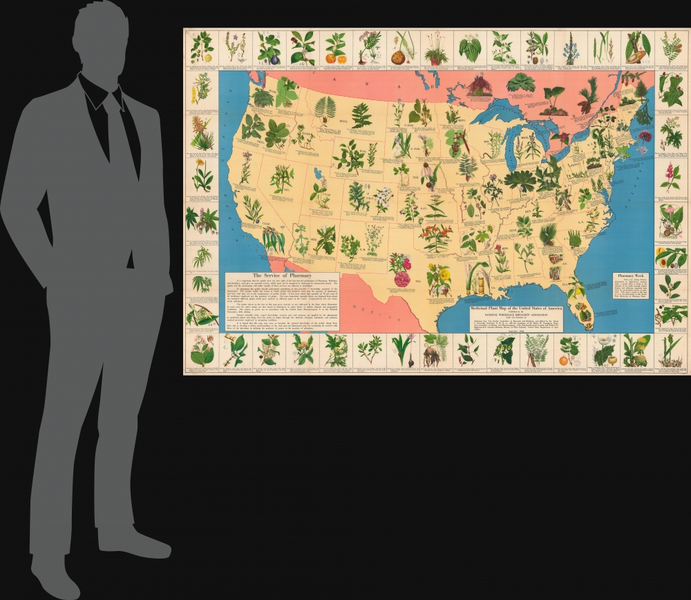 Medicinal Plant Map of the United States of America. - Alternate View 1