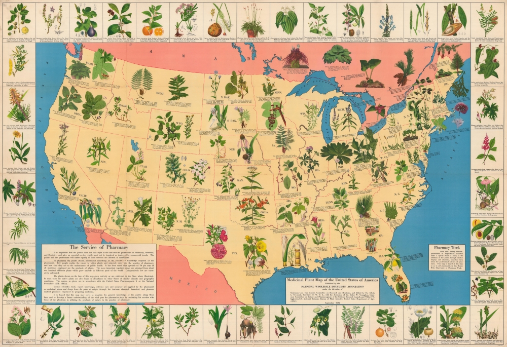 Medicinal Plant Map of the United States of America. - Main View