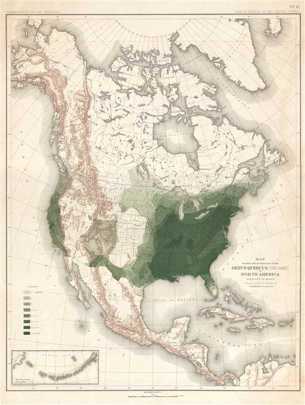 Map Showing the Distribution of the Genus Quercus (the Oaks) in North America Exclusive of Mexico. - Main View