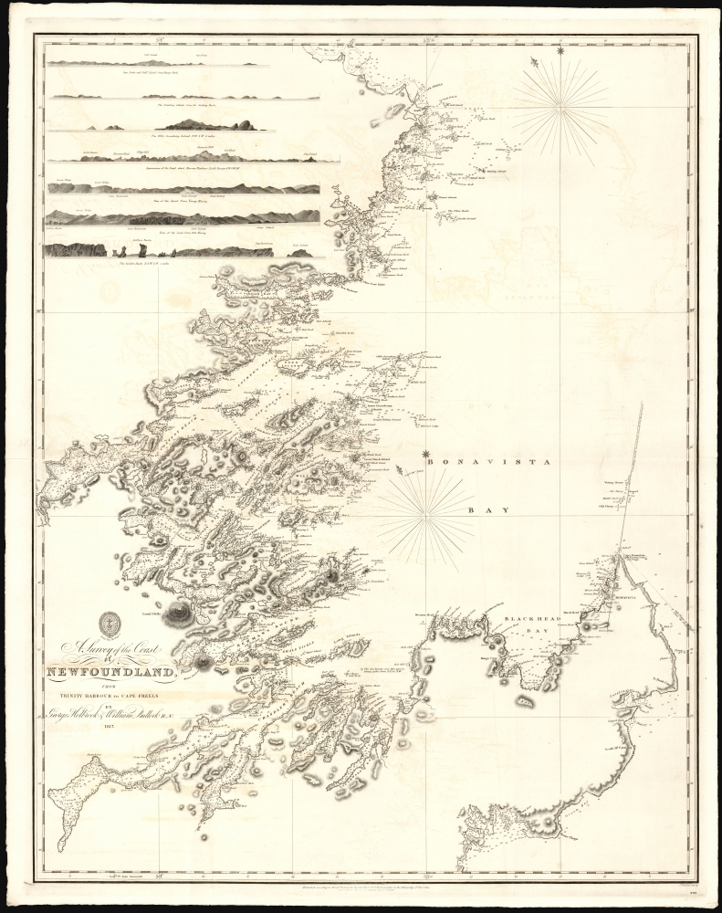 A Survey of the Coast of Newfoundland from Trinity Harbour to Cape Freels. - Main View