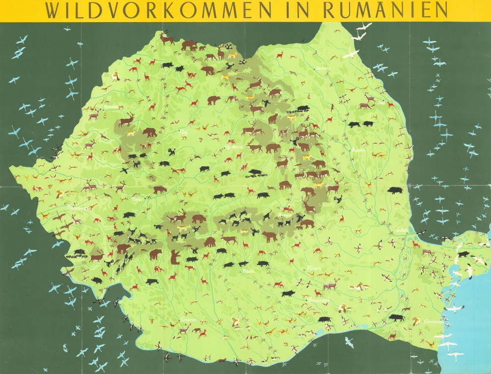 1960 Romanian Tourist Pictorial Hunting Map of Romania in German