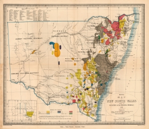 1876 Richards Map of the Gold Fields of New South Wales