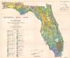 General Soil Map of Florida. - Main View Thumbnail