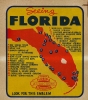 Seeing Florida. - Main View Thumbnail